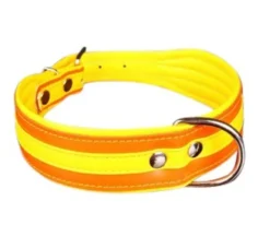 * Hondenhalsband Colors Oranje- Hondenhalsband