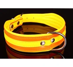 * Hondenhalsband Colors Oranje- Hondenhalsband