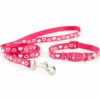 Ancol Hondenhalsband Set Met Riem Heart Rood- Hondenhalsband