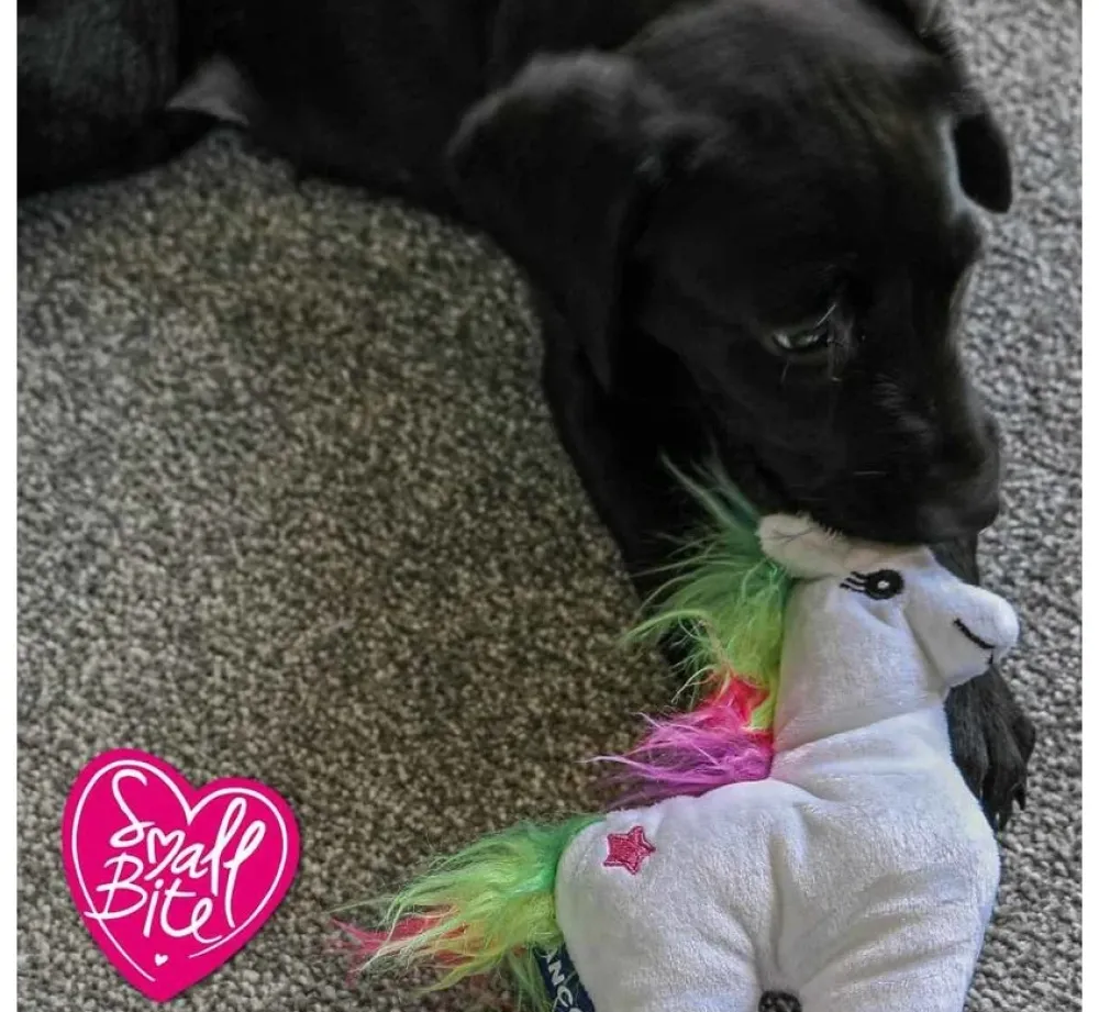 Ancol Hondenspeelgoed Eenhoorn- Puppy Speelgoed