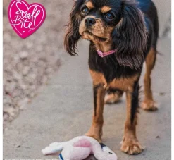Ancol Hondenspeelgoed Flamingo- Puppy Speelgoed