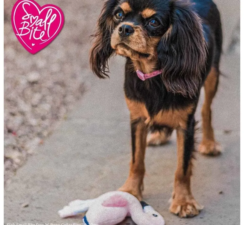 Ancol Hondenspeelgoed Flamingo- Puppy Speelgoed