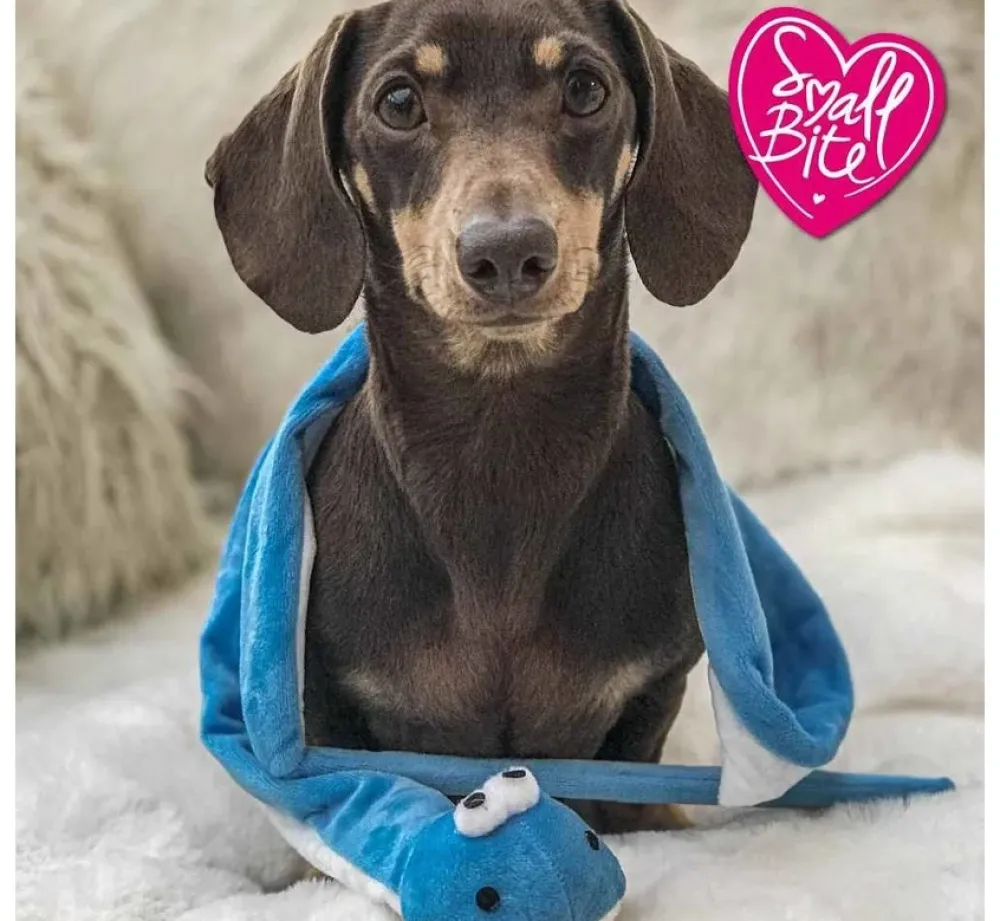 Ancol Hondenspeelgoed Slang- Puppy Speelgoed