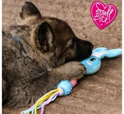 Ancol Hondenspeelgoed Teether- Puppy Speelgoed