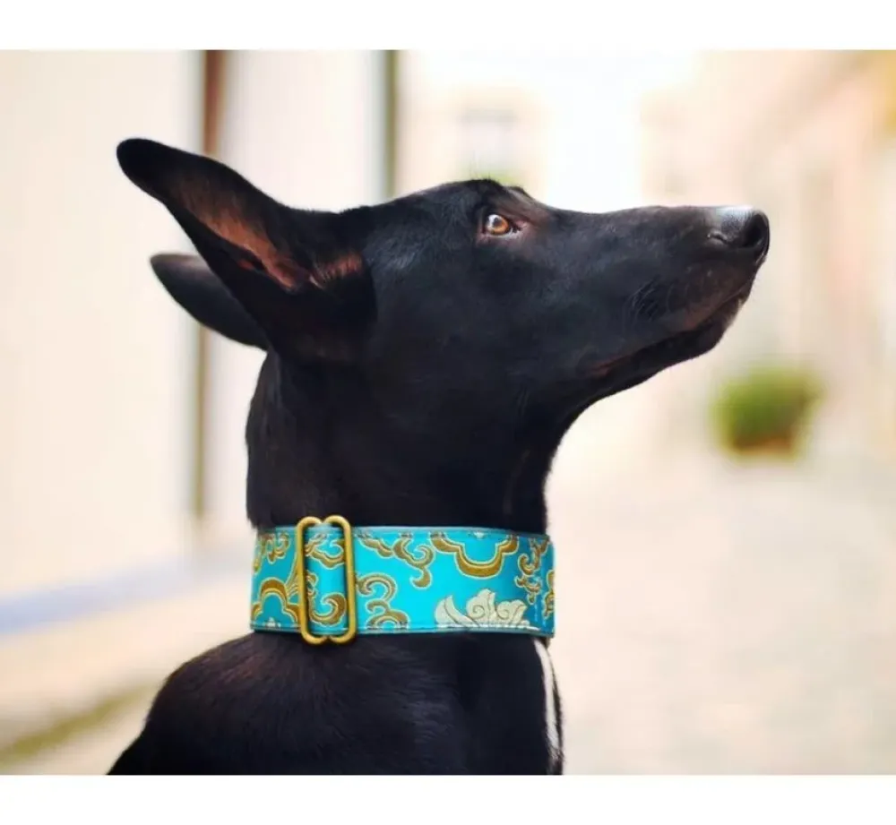 Barcelona Dogs Martingale Hondenhalsband Green- Hondenhalsband