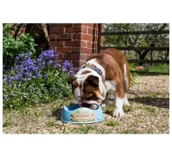 Beco Pets Drinkbak Of Voerbak Beco Bowl Blauw- Voerbak En Drinkbak