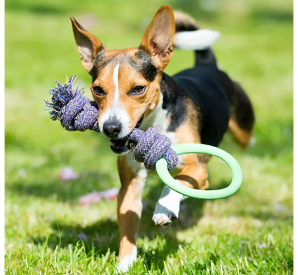 Beco Pets Hondenspeelgoed Hoop On A Rope Groen- Puppy Speelgoed