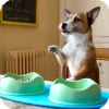 Beco Pets Onderlegger Place Mat Blauw- Voerbakken