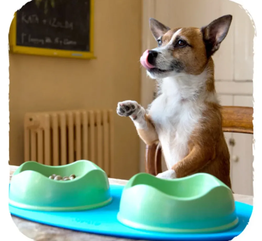Beco Pets Onderlegger Place Mat Blauw- Voerbakken