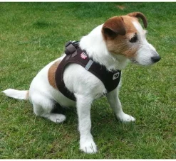 Curli Hondentuig Air-Mesh Harness Brown- Puppy Tuig & Puppy Harnas