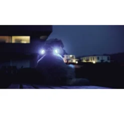 Curli Luumi Led Lampjes Rood- Hondenhalsband