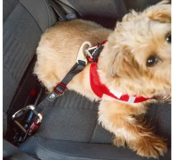 Curli Veiligheidsriem- Autogordel Hond