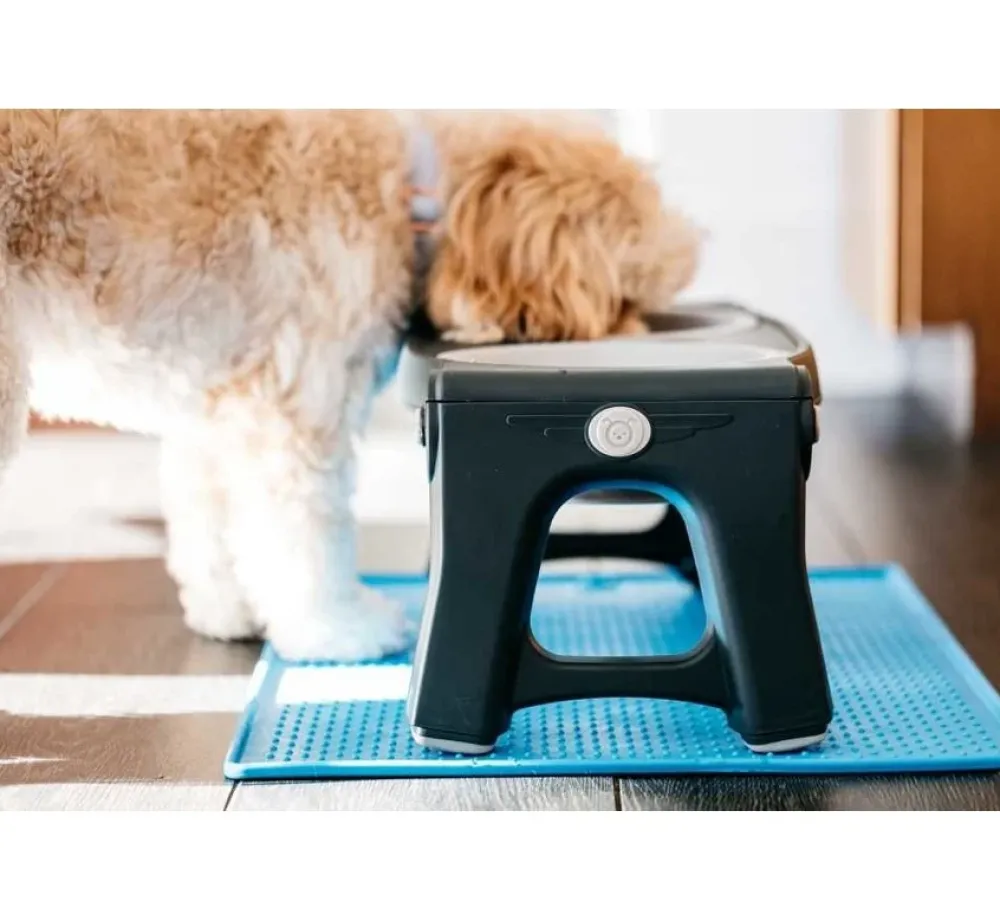 Dexas Adjustable Height Pet Feeder Light Grey- Voerbak En Drinkbak