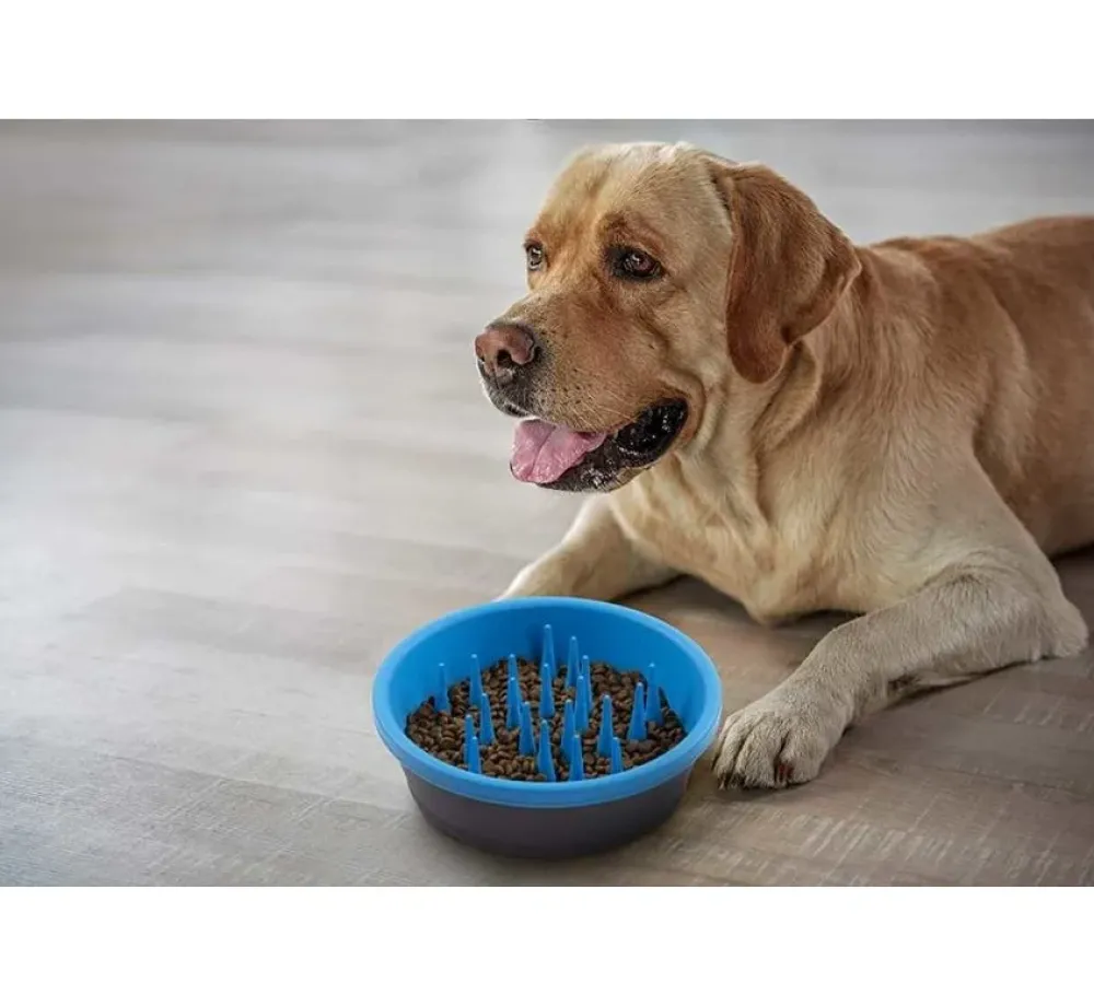 Dexas Anti Schrok Voerbak Slow Feeder Blauw- Voerbak En Drinkbak