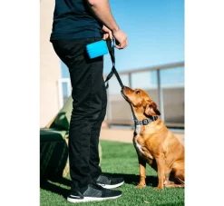 Dexas Beloningszakje Pooch Pouch Pro Blue- Beloningszakje