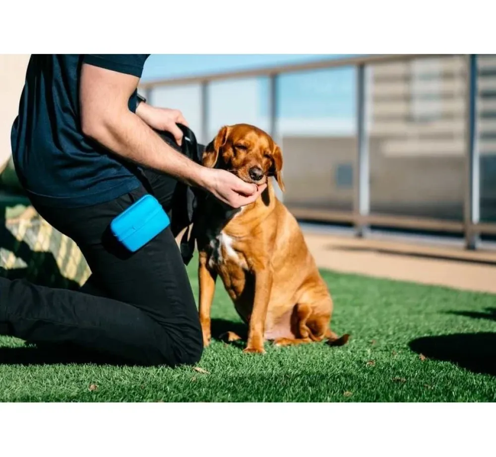 Dexas Beloningszakje Pooch Pouch Pro Blue- Beloningszakje