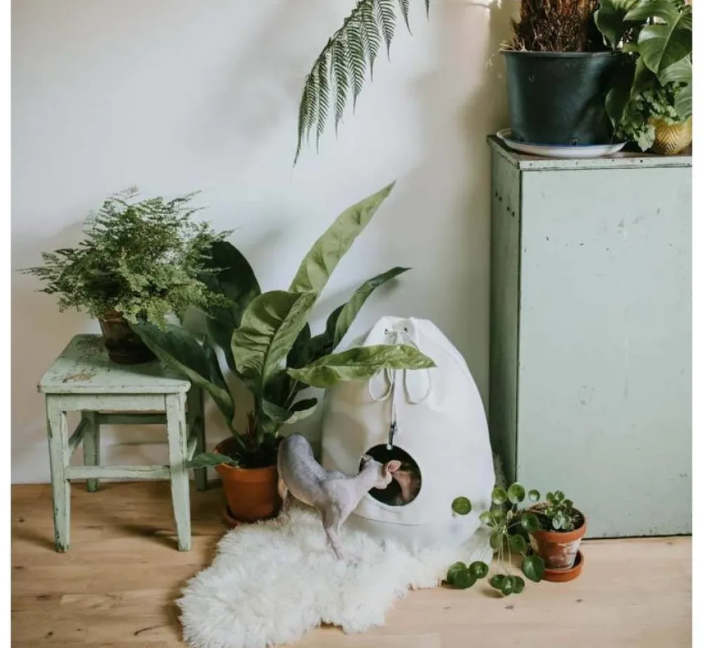 District70 Kattenmand Casa Merengue- Kattenmand
