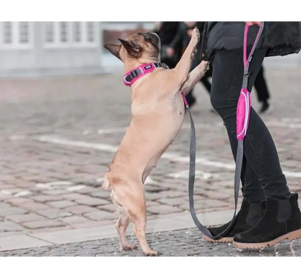 DOG Copenhagen Hondenhalsband Urban Explorer Wild Rose (V2)- Hondenhalsband