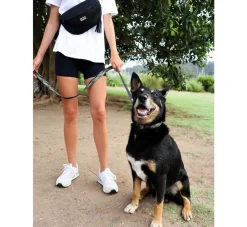 DOOG Heuptas Neosport Navy- Beloningszakje