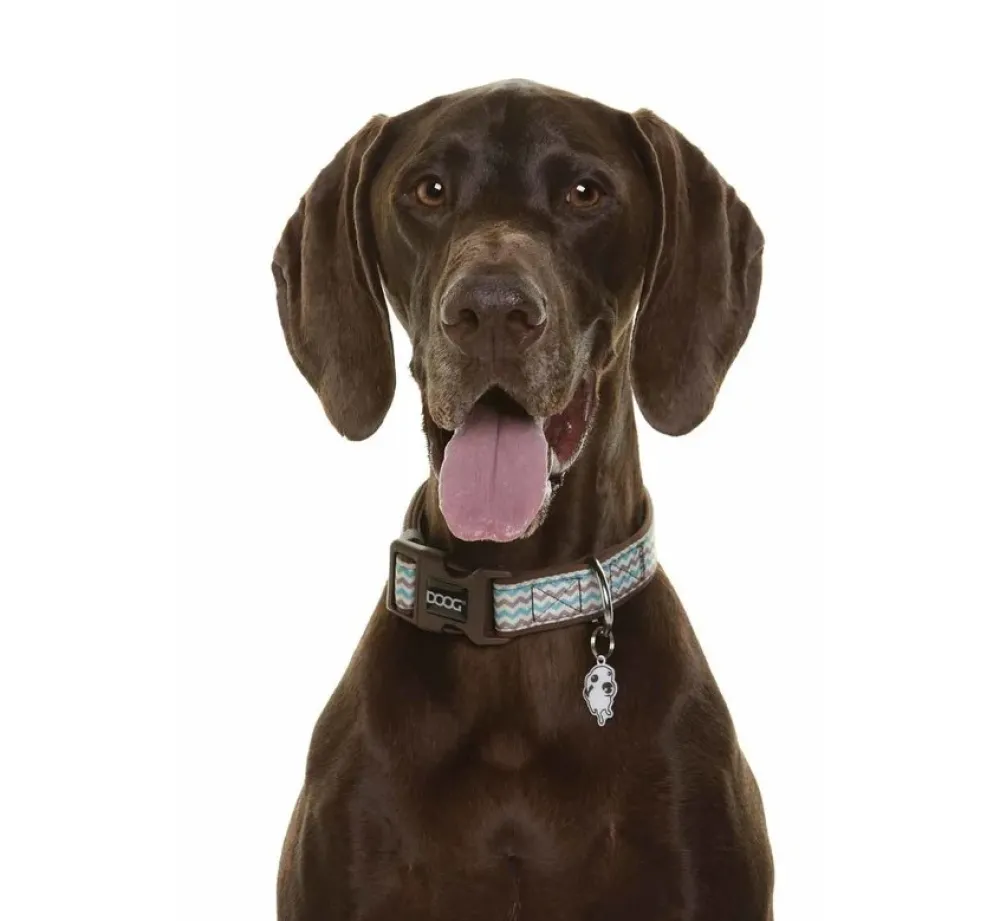 DOOG Hondenhalsband Neopreen Benji- Hondenhalsband
