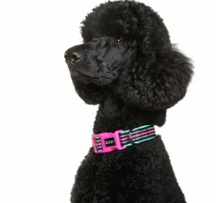 DOOG Hondenhalsband Neopreen Rin Tin Tin- Hondenhalsband