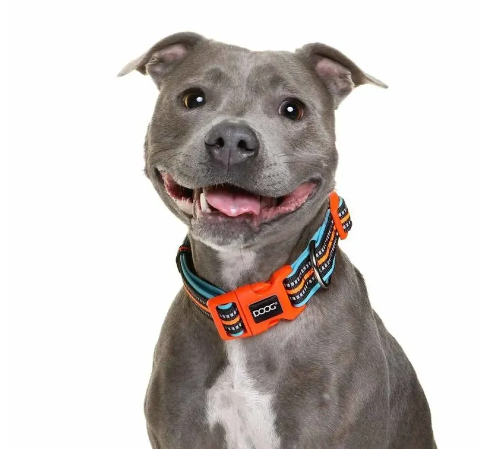 DOOG Hondenhalsband Neopreen Beethoven- Hondenhalsband