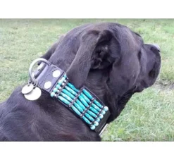 Doxtasy Hondenhalsband Blue River 50Mm- Hondenhalsband