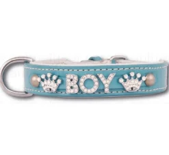Doxtasy Hondenhalsband Met Naam Medium Babyblue- Hondenhalsband