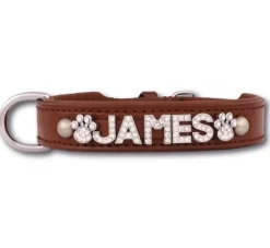 Doxtasy Hondenhalsband Met Naam Large Brown- Hondenhalsband