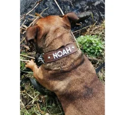 Doxtasy Hondenhalsband Met Naam Large Brown- Hondenhalsband