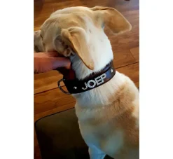 Doxtasy Hondenhalsband Met Naam Large Brown- Hondenhalsband