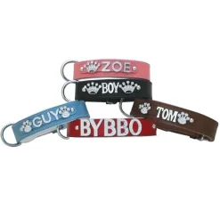 Doxtasy Hondenhalsband Met Naam Large Baby Blue- Hondenhalsband