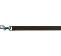 Doxtasy Hondenriem Plain Brown Silver- Leren Hondenriem