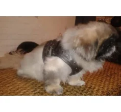 Doxtasy Hondentuig Comfy Harnass Full Metal Jacket- Puppy Tuig & Puppy Harnas