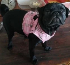 Doxtasy Hondentuig Comfy Harnass Scottish Pink- Puppy Tuig & Puppy Harnas
