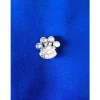 Doxtasy Pootje Decoratie Voor Halsband En Riem Met Naam- Hondenhalsband