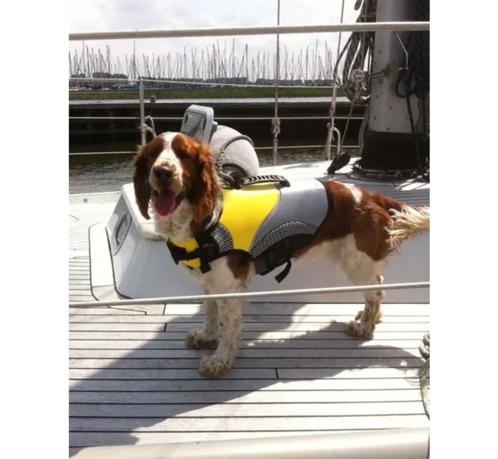 EQDOG Hondenzwemvest Pro Life- Voor De Boot