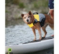 EQDOG Hondenzwemvest Pro Life- Voor De Boot