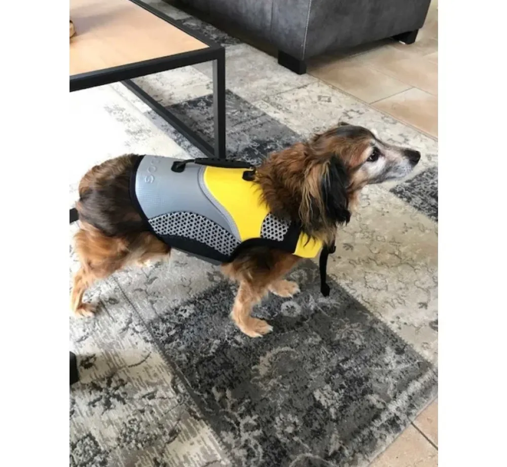 EQDOG Hondenzwemvest Pro Life- Voor De Boot