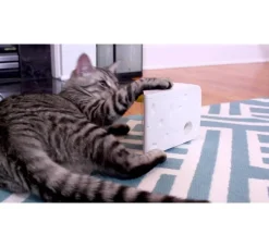 FroliCat Kattenspeelgoed Cheese- Kattenspeelgoed