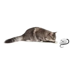 FroliCat Kattenspeelgoed Rolocat- Kattenspeelgoed