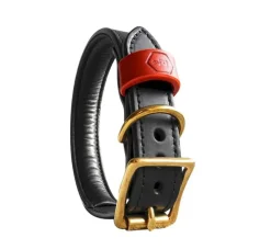 Houndworthy Hondenhalsband Bridle Leather Jet Black- Hondenhalsband