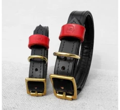Houndworthy Hondenhalsband Bridle Leather Jet Black- Hondenhalsband