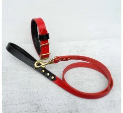 Houndworthy Hondenhalsband Bridle Leather Oxblood Red- Hondenhalsband