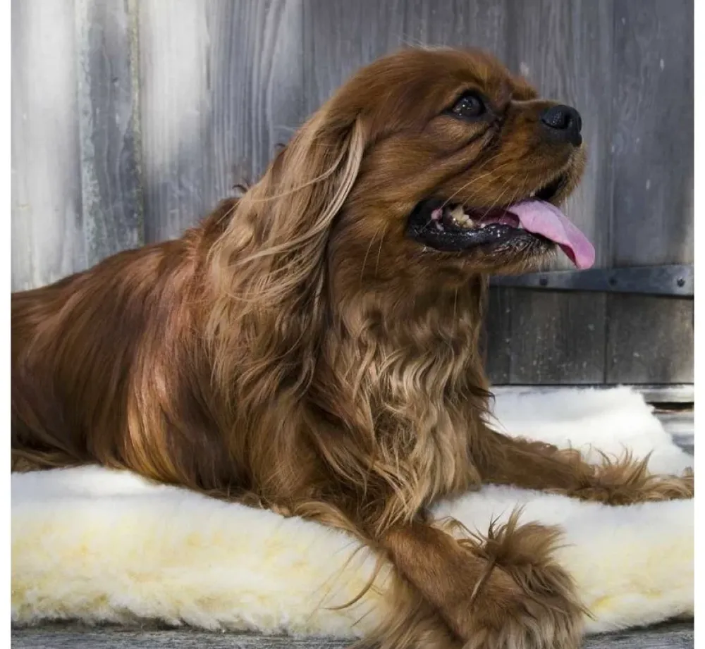 Hugglehounds Fleece Mat- Hondendeken