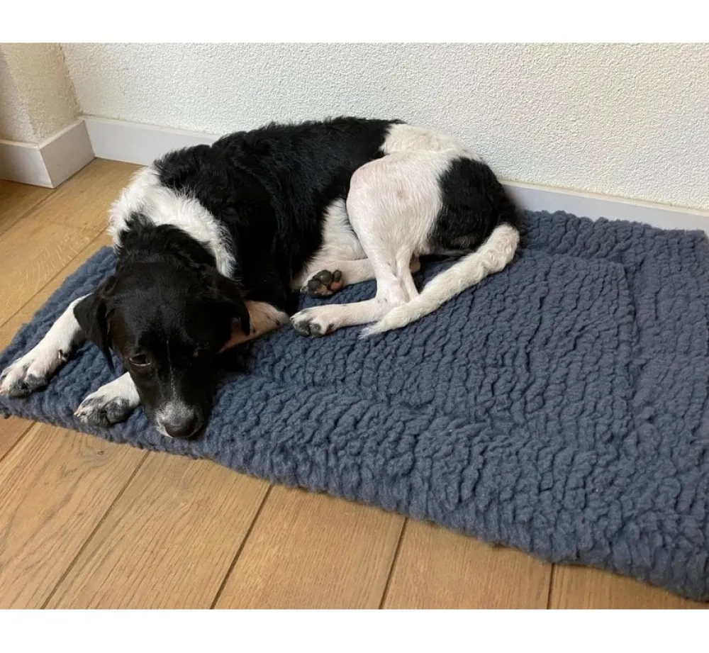 Hugglehounds Fleece Mat Grijs- Hondendeken
