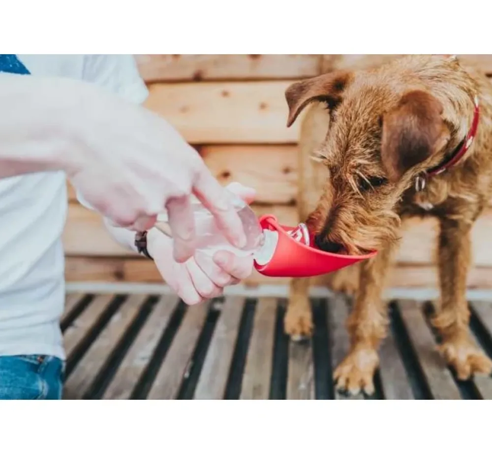 Hunter Drinkfles Hond List Rood- Voerbak En Drinkbak
