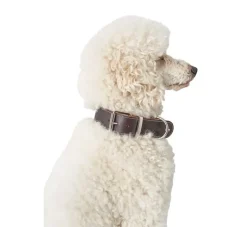 Hunter Hondenhalsband Aalborg Special Bruin- Hondenhalsband