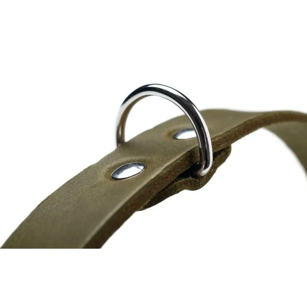 Hunter Hondenhalsband Aalborg Olive- Hondenhalsband