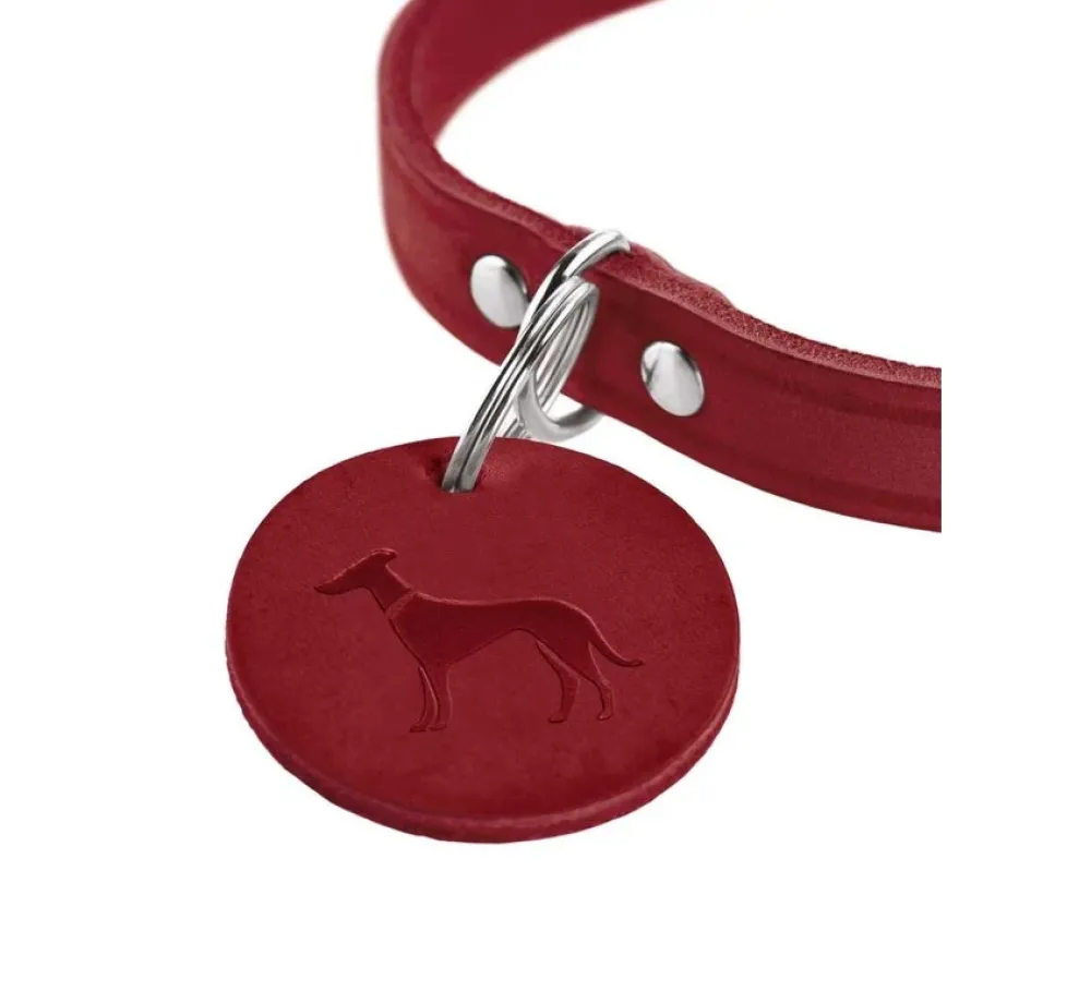 Hunter Hondenhalsband Aalborg Rood- Hondenhalsband